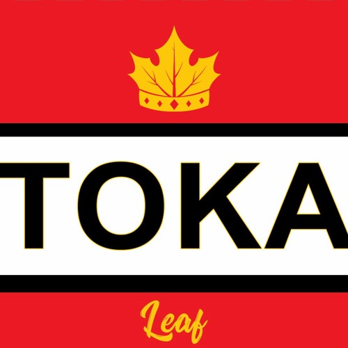 Toka Leaf’s avatar