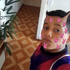 xtz_davizin