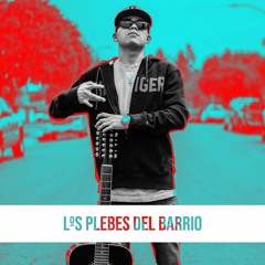 Los Plebes del Barrio