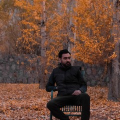 Ali Najeeb 9