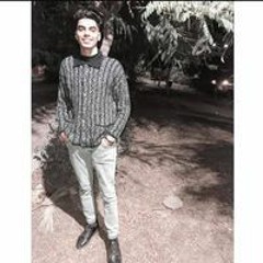 Tarek E Mohaamed