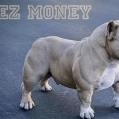 ezmoney