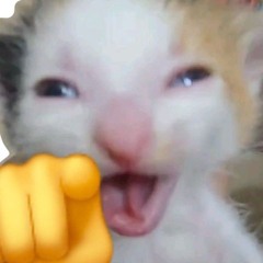 adun.