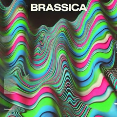 Brassica