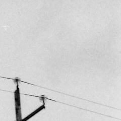 Proyecto Galería 14