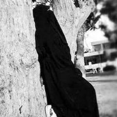 هبة إبراهيم علي