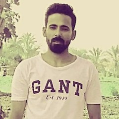Mohammad Talaat