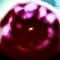 !bloom