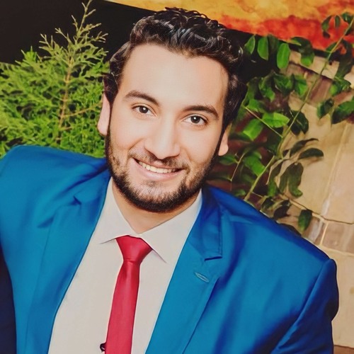 Amr El-mesalmy’s avatar