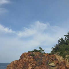 급발진 전문가