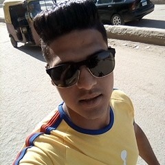 يوسف محمد