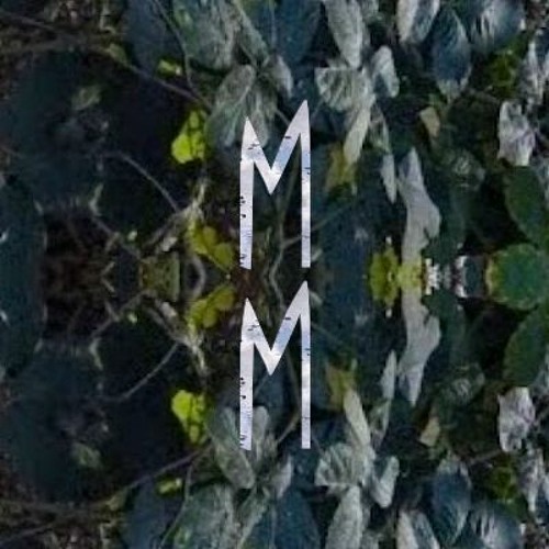 Music Meditation’s avatar