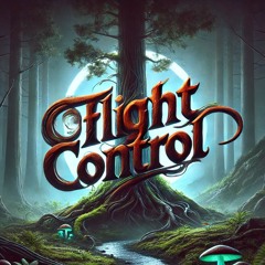 Flight Control