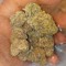LIL.G 5palm$ H242D