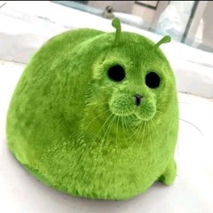 nickxyz