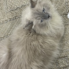 @bt.ftom04