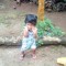roseleenjoel@gmail.com