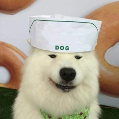 ham's dog in law