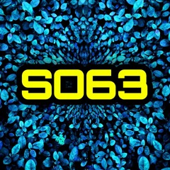 SO63