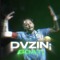 dvzinz ifode