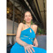 Elveda Buse