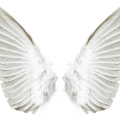 aiseaiseaise
