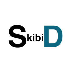 SkibiD