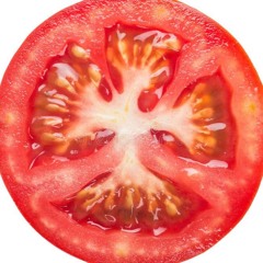 KATORGALin