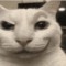 gurt