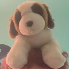 teddypasstheeddy
