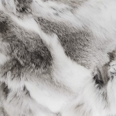 v03xxxxxxx
