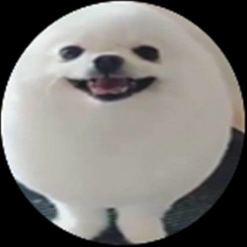 Eggdog’s avatar