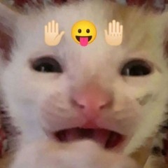 FTouch