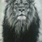 Warriorstatus22