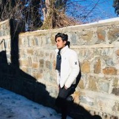 Ameer Hamza