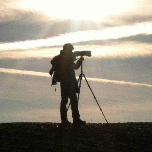 Four Parts (String Quartet No. 2)