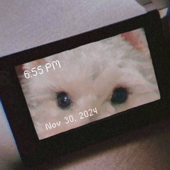 sweetxsagi