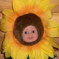 Sécurité Sociale Records