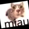 Miau