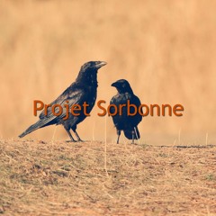Projet Sorbonne