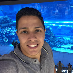Mohamed Negm