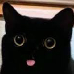 Yesits9IncheZ