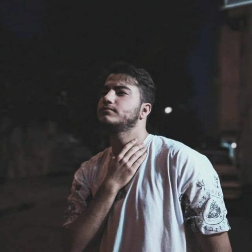 Mohamadhosein Godarzi’s avatar