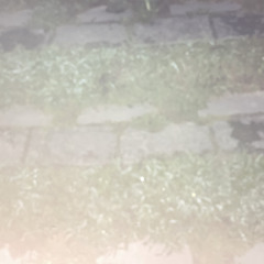 風⭐️ぞく
