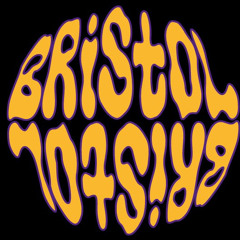 Bristol_it