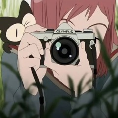 meda
