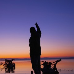 sai.flp