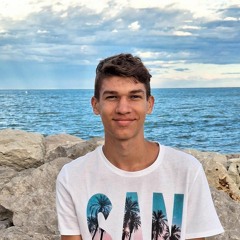 Dominik Kis