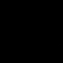 Nocturnal Zen