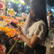 bé Bống 🍯